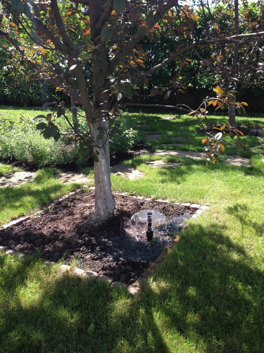 Спринклер системы автополива Спринклер системы автополива дерева